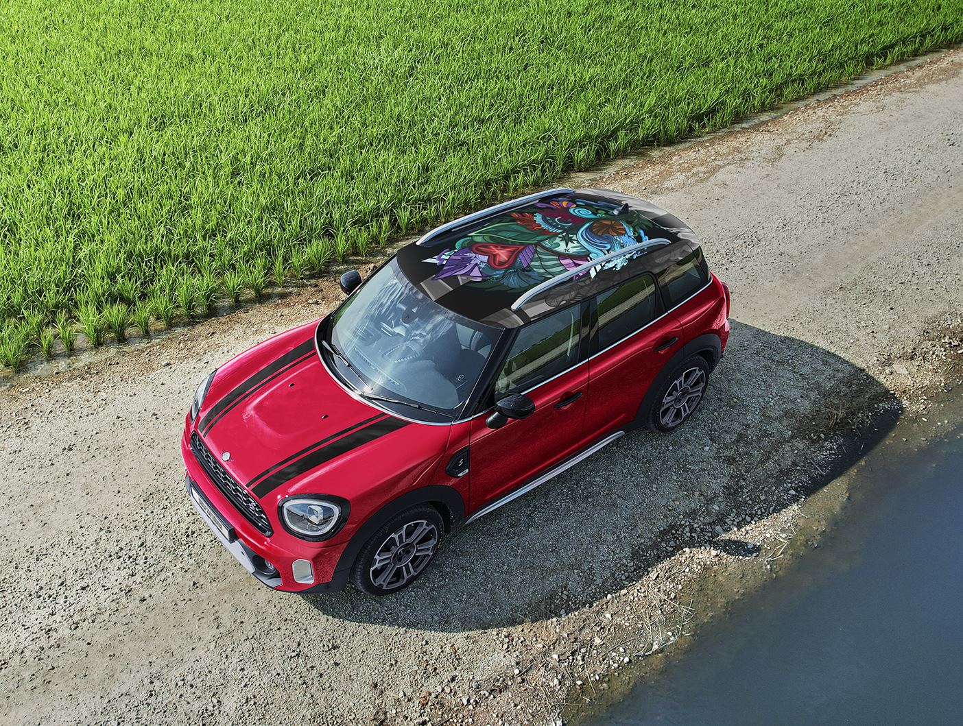 MINI Countryman Roof Art Edition [2023]